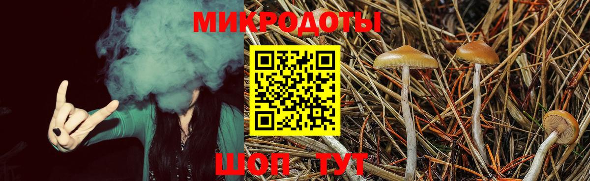 Галлюциногенные грибы Psilocybe Котовск