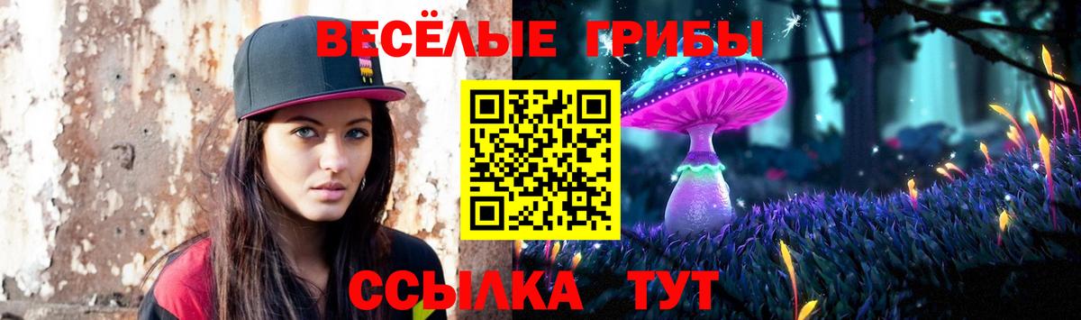 где купить наркоту  Вход с VPN  Котовск  Галлюциногенные грибы ЛСД 